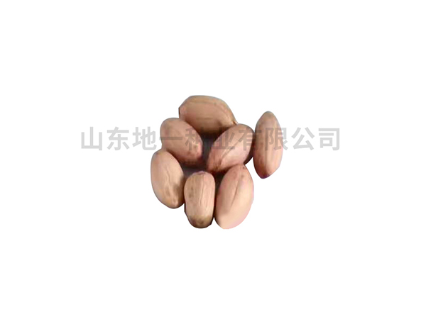 濰花25號(hào)花生種，有哪些栽培技巧